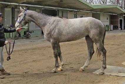 �Ѱ������� ����