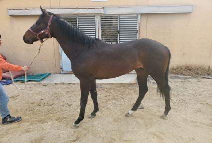 ��õ�۽�Ʈ ����