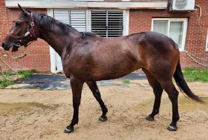 ���̿������� ����