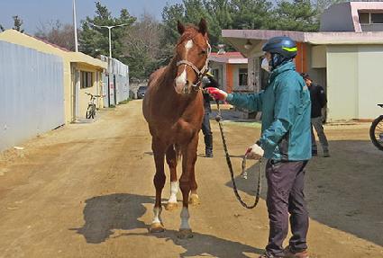 �����ְ��� ����