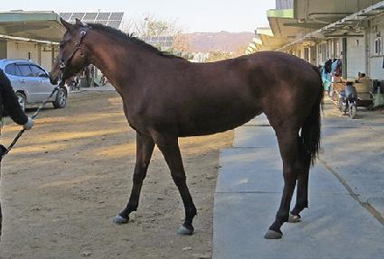 ����ȷ�� ����