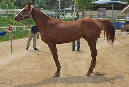 ���Ļ�� ����