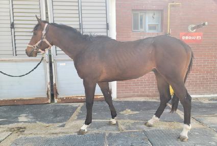 ������ǳ ����