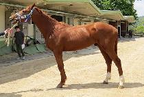 �������� (EUNPA JOY) ����