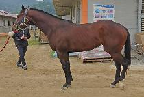 ����Ʈ���� (SMART WORLD) ����