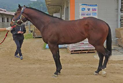 ����Ʈ���� ����