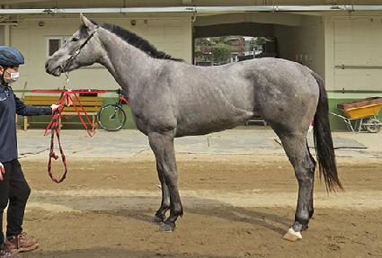 �Ѱ�ũ��� ����