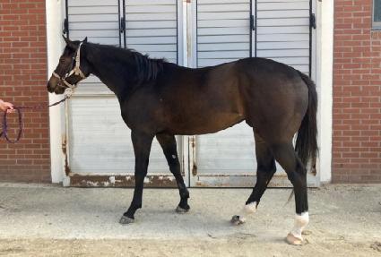 �뼺�ö��� ����