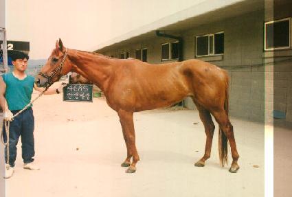 �ȼ����� ����