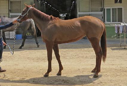 ��Ƴ� ����