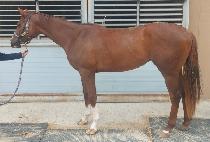 Ʈ���õ帲 (TRIPLE DREAM) ����