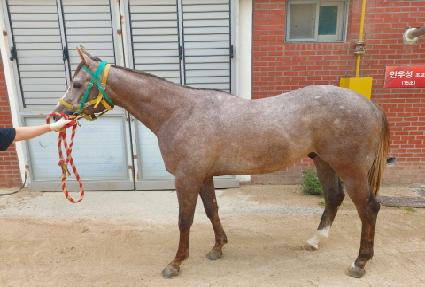 �����Ǽ��� ����