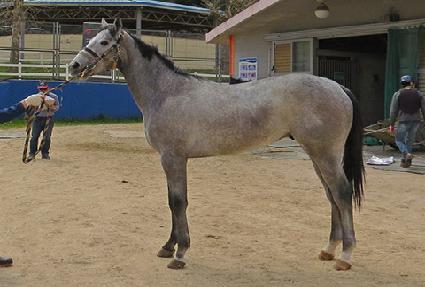 ������� ����