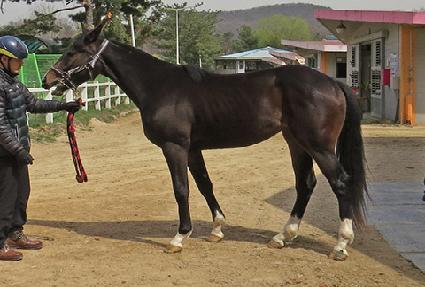 �ǿ�����è�� ����