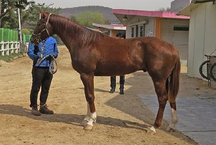 �������Բ� ����