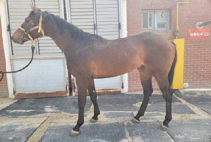 �ѹ����� ����