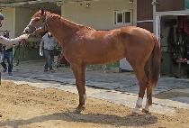 ���̷ս�Ÿ (BYLONG STAR) ����