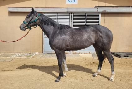 �������� ����