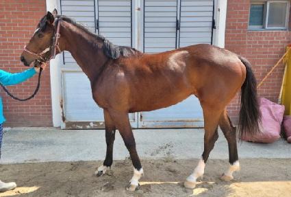 ���̿����� ����