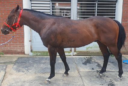 �۷ι�����Ʈ ����