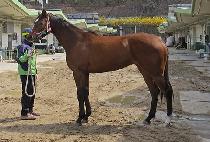 �Ӵ���ġ (MONEY TOUCH) ����