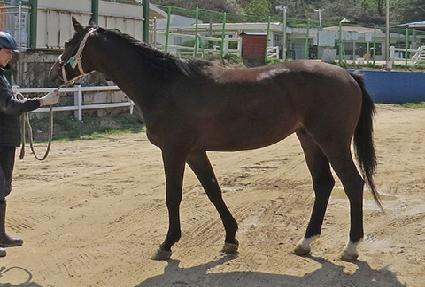 ���ʹ׼��� ����