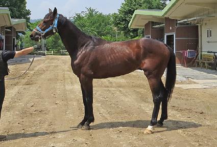 ���϶��� ����