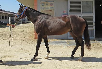 �����ô� ����