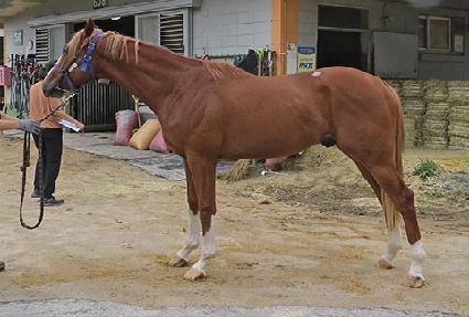 �ְ���� ����