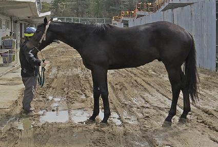 ���ʹ׸Ӵ� ����