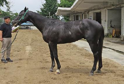 ���ʹ׽�ī�� ����