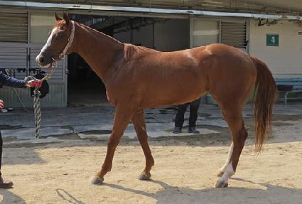 ������Ʈ�� ����