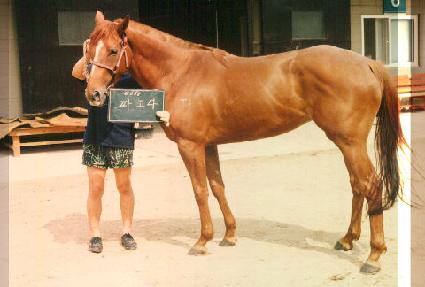 �İ��� ����