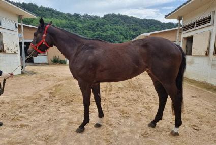 �巡����ġ ����