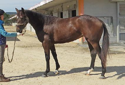 ������Ʈ��� ����