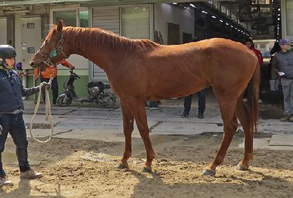 �����̾�Ʈ ����