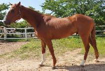 ŷ������ (KINGS MARINE) ����