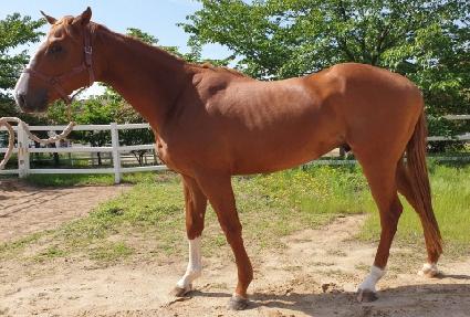 ŷ������ ����