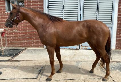 õ������ ����