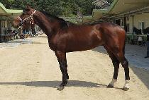 �����帶��ƾ (BLOOD MOUNTAIN) ����