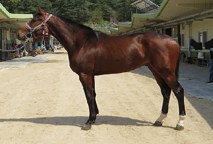 �����帶��ƾ ����