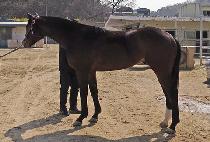 ���̼��� (MY CENTER) ����