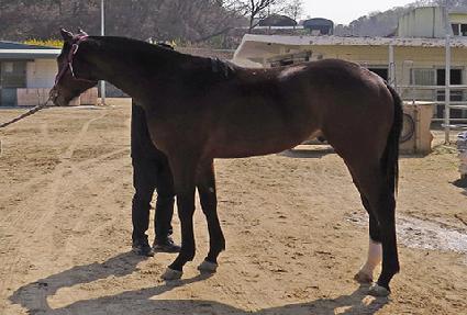 ���̼��� ����