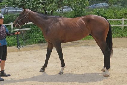 ���̸��ø� ����