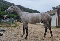 �������Լ� (GWANGYAEUIHAMSUNG) ����