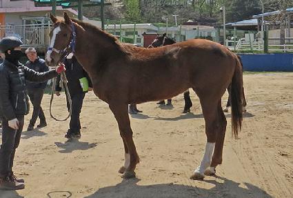 �Ѱ�ĸƾ ����