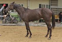 JILJU CHEONHA picture