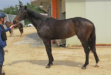 ��ٸ���� ����