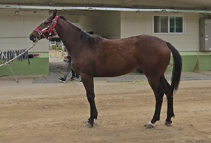 ��Ʈ����Ʈ ����