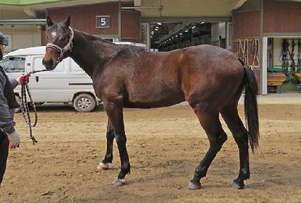 ����Ʈ�丣 ����